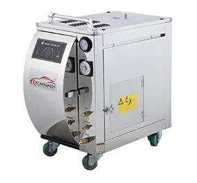 Dampfreiniger SP7000
